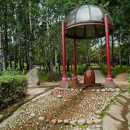 Pushkin Daire